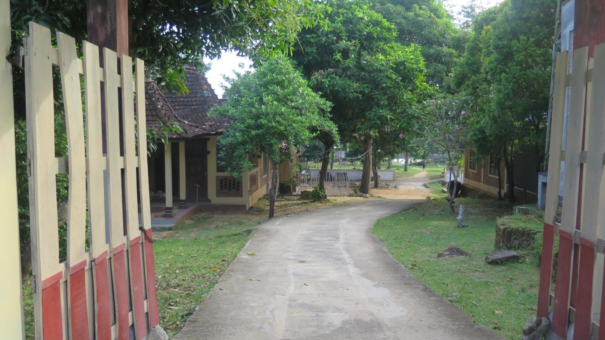Mangrove Inn Îles Îles Karimunjawa Extérieur photo