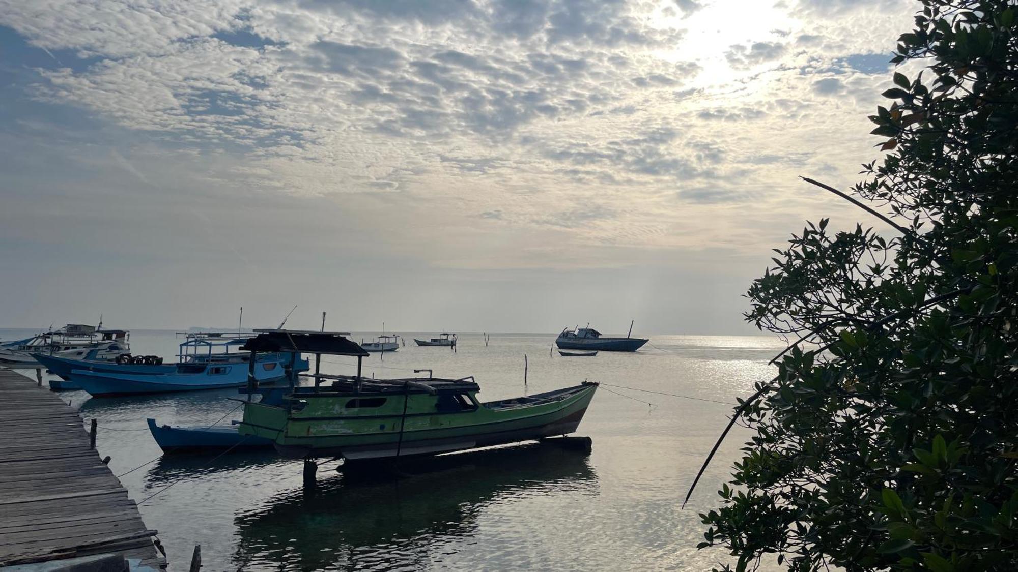 Mangrove Inn Îles Îles Karimunjawa Extérieur photo