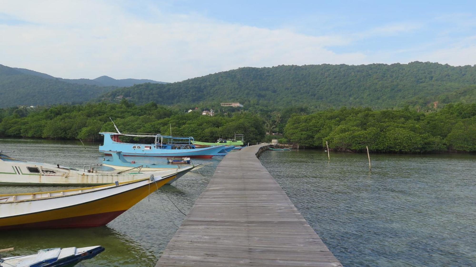 Mangrove Inn Îles Îles Karimunjawa Extérieur photo