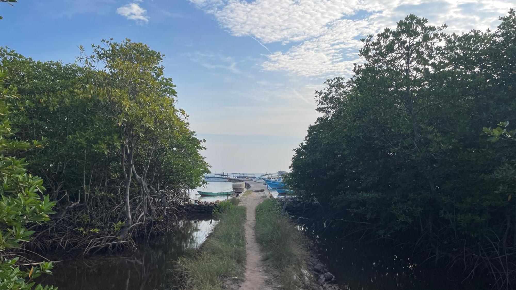 Mangrove Inn Îles Îles Karimunjawa Extérieur photo