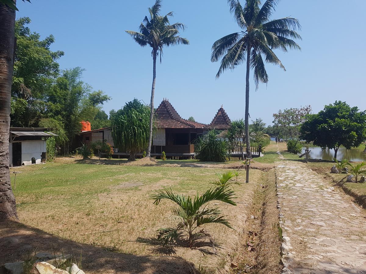 Mangrove Inn Îles Îles Karimunjawa Extérieur photo