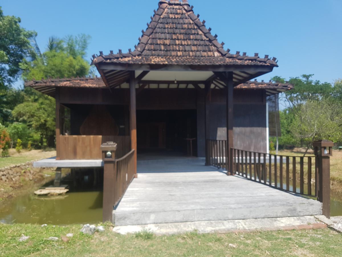 Mangrove Inn Îles Îles Karimunjawa Extérieur photo