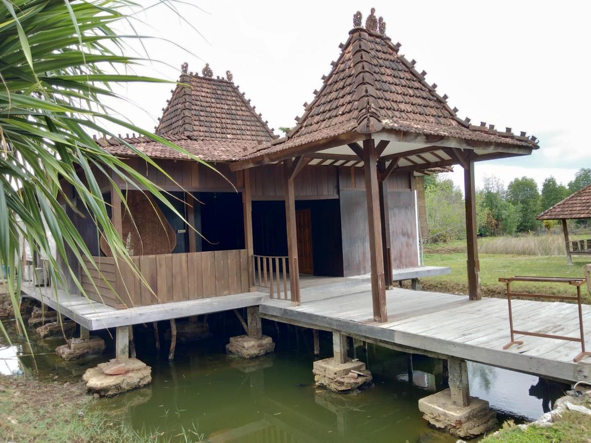 Mangrove Inn Îles Îles Karimunjawa Extérieur photo